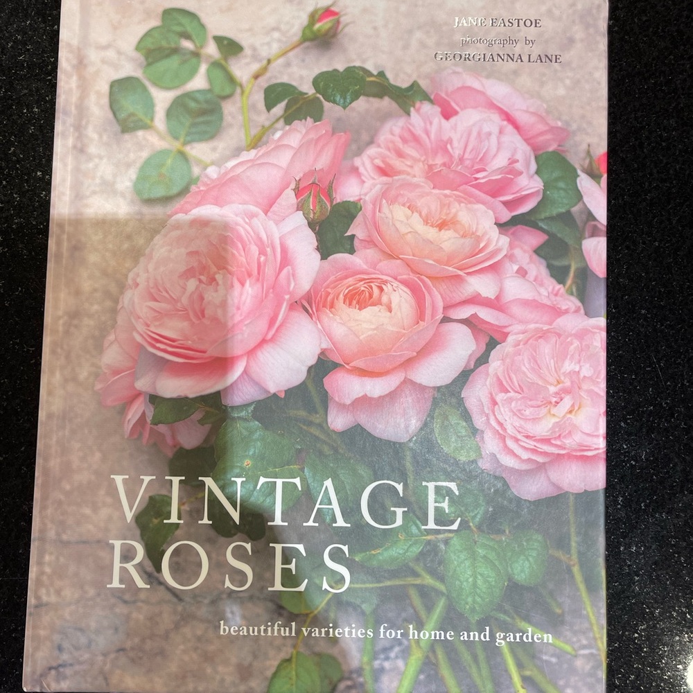 New Vintage Roses Book